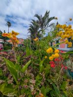 Botanischer Garten Quinta Spledida/Madeira