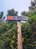 Start unserer Wanderung durch den Lorbeerwald/Madeira