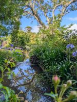 Palheiro Gardens/Madeira