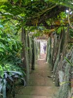 Quinta da Boa Vista Orchideengarten/Madeira