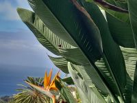 Botanische Garten.jpg