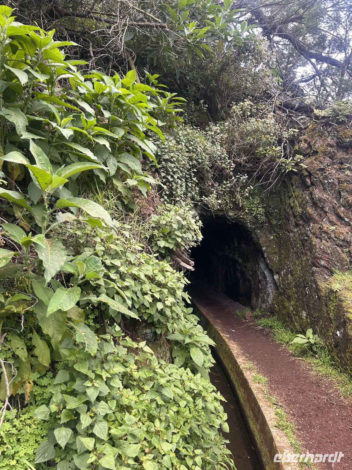 Sogar durch einen Tunnel  &ndash; &copy;  (Eberhardt TRAVEL)