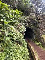 Sogar durch einen Tunnel  &ndash; &copy; Carola Gastmeier (Eberhardt TRAVEL)