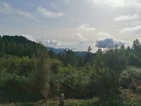 Ausflug in Camacha