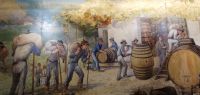 Blandy´s Weingut - Funchal - Die Arbeit im Weingut
