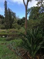 Blandys Garten