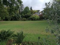Blandys Garten