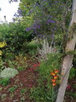 Blandys Garten