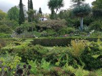 Blandys Garten