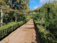 Blandys Garten