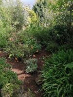 Blandys Garten