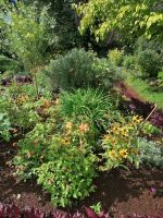 Blandys Garten