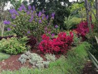 Blandys Garten