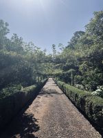 Blandys Garten