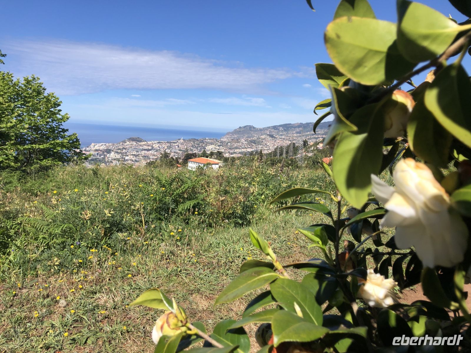 Blick auf Funchal