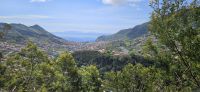 Blick auf Machico