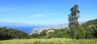 Blick vom Palheiro Garden auf Funchal