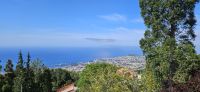 Blick von Monte auf Funchal