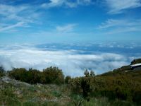 Blick zum Meer