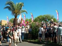 Blumenfest