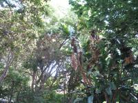 Botanische Garten 