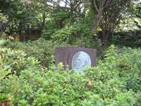 Botanische Garten 