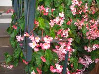Botanische Garten 