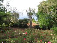 Botanische Garten 