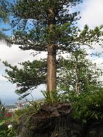 Botanische Garten 