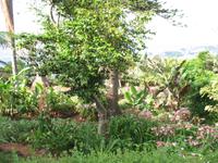 Botanische Garten 