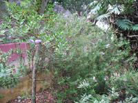 Botanische Garten 