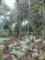 Botanische Garten 