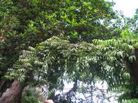 Botanische Garten 