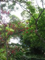 Botanische Garten 