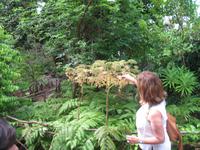 Botanische Garten 