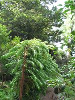 Botanische Garten 