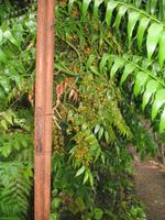 Botanische Garten 