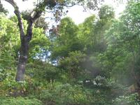 Botanische Garten 