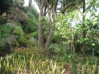 Botanische Garten 