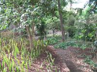 Botanische Garten 