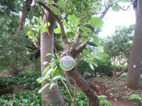 Botanische Garten 