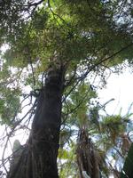 Botanische Garten 