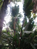 Botanische Garten 