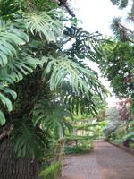 Botanische Garten 