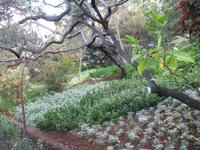 Botanische Garten 
