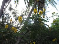 Botanische Garten 