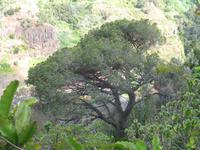 Botanische Garten 