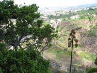 Botanische Garten 