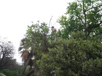 Botanische Garten 