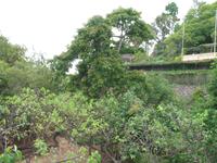 Botanische Garten 